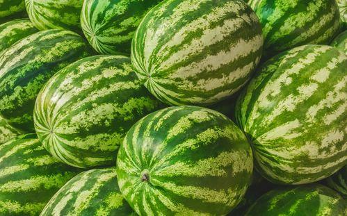 去什么地方找吃瓜网,探寻全国各地的“吃瓜网”美食之旅