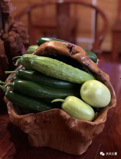 网红吃瓜赵露丝,网红吃瓜界的风云人物