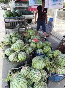 四川吃瓜网红事件