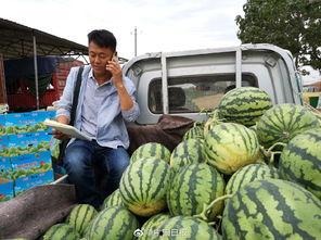 临沂吃瓜网红事件真相是真的吗,事实与谣言的较量