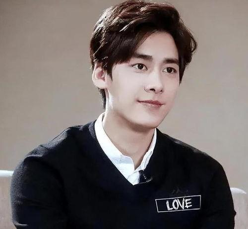 52吃瓜网入口李易峰