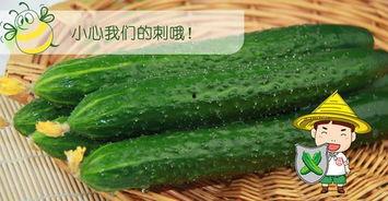 吃瓜网最好看的瓜