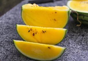 杭州网红吃瓜,揭秘幕后故事与热门话题