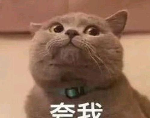 女生网红吃瓜表情包是谁,揭秘女生网红的爆红之路